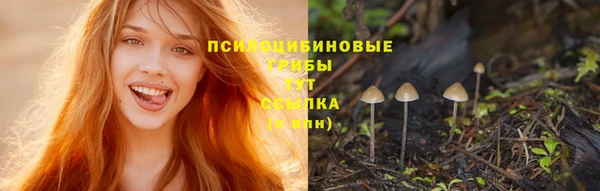 прущая мука Баксан