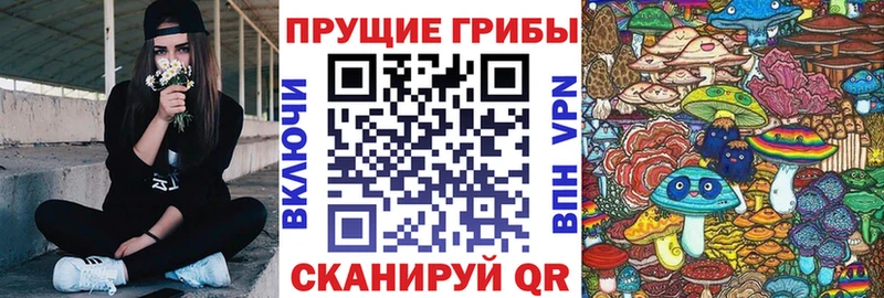 Псилоцибиновые грибы GOLDEN TEACHER  Серафимович 
